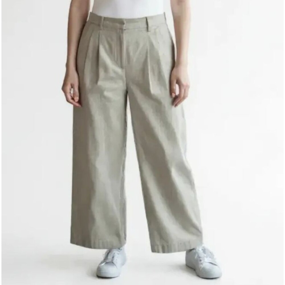 Banana Republic Linen Blend Pleated Pant in Flax Women 4 Petite Beige Wide Leg